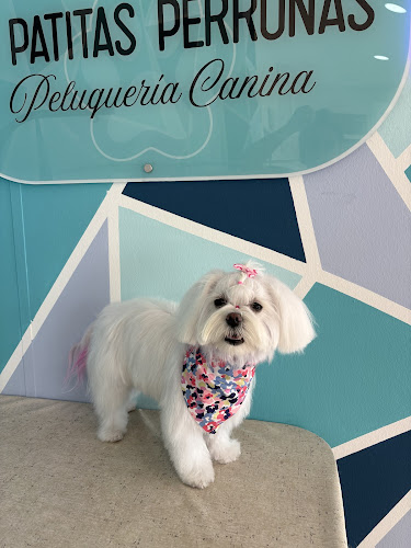 Negocio 16 Patitas Perrunas
