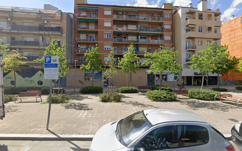 Negocio Academia Peluquería Canina Iv San Bernard, Girona