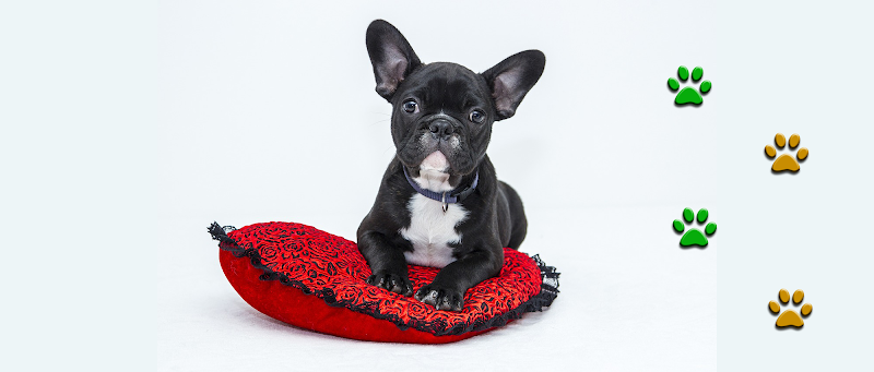 Negocio Agronatura Reus Zona Centro