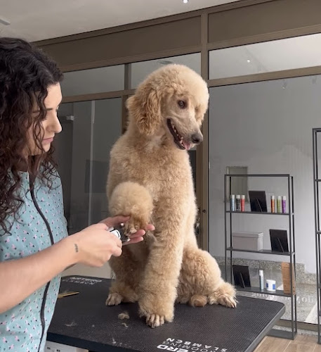 Negocio Aguas Estilismo Canino