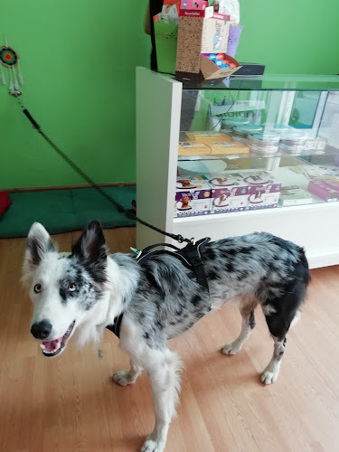 Negocio Animal Premium S. L.