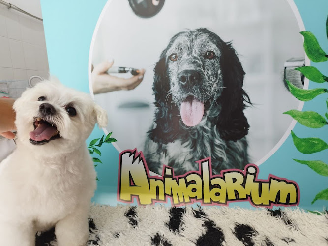 Negocio Animalarium