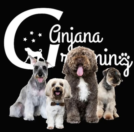 Negocio Anjana Grooming