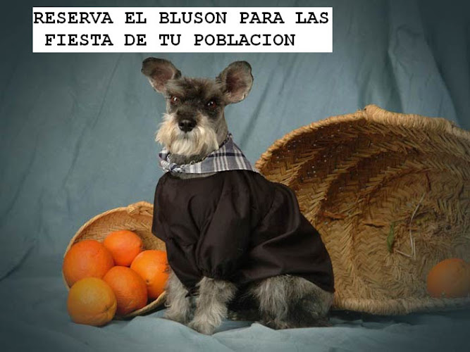 Negocio Aqua Dog Peluquería Canina