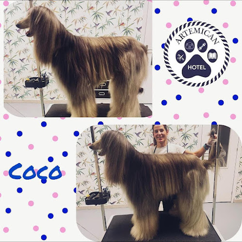 Artemican Sl (Centro Integral De Atención Canina: Hotel, Tienda, Adiestramiento Y Peluquería )