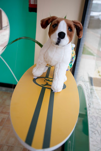 Negocio Asis Peluquería