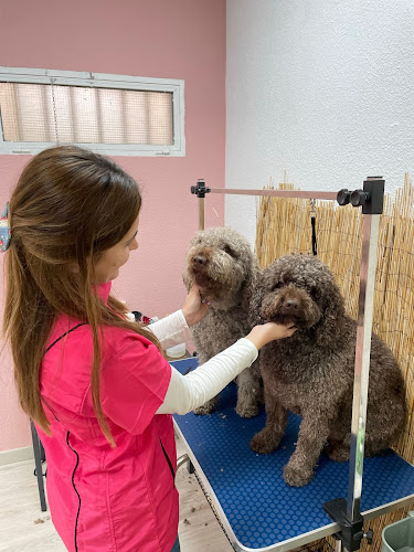 Atilcán Peluquería Canina