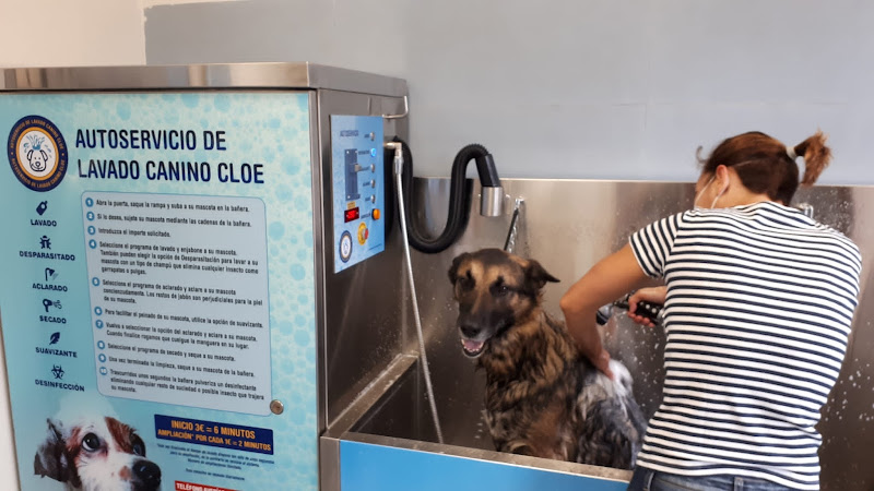 Negocio Autoservicio Y Peluquería Canina Cloe