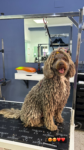 Negocio Beauty Pets, Peluquería Canina