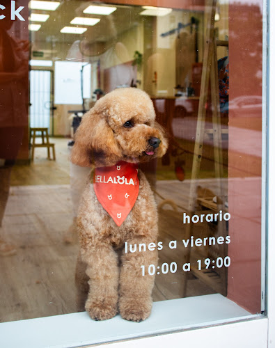 Negocio Bella Lola | Peluquería Canina
