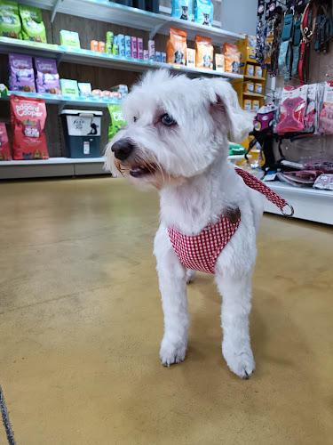 Negocio Bobbykhan Mascotas Centro Veterinario, Peluqueria, Alimentacion Y Accesorios