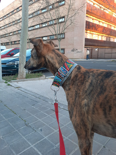 Negocio Braña Alta