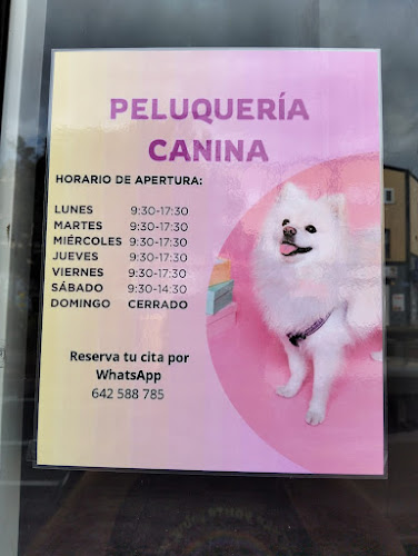Negocio Bubbles And Fur Tenerife