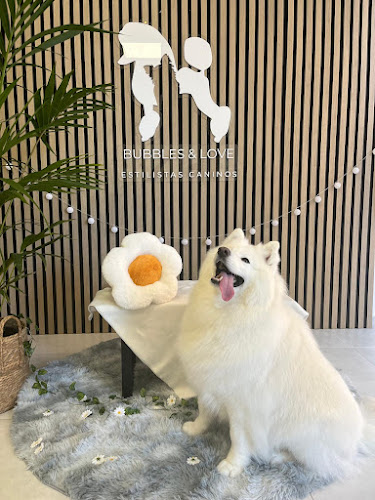 Negocio Bubbles And Love Peluquería Canina