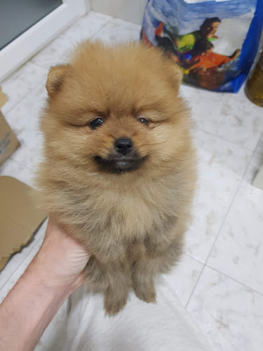 Negocio Cadizoo Mascotas