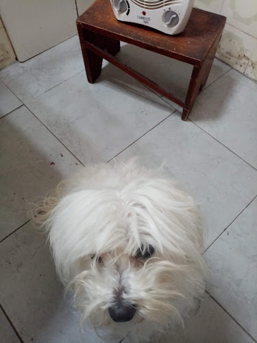 Negocio Can Can
