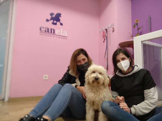Negocio Canela Peluquería Canina