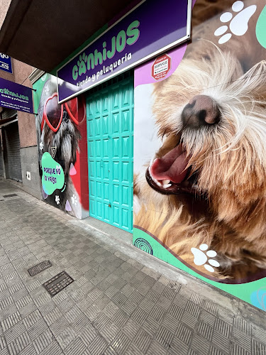Negocio Canhijos Tienda Y Peluquería Canina