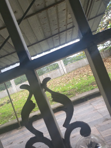 Negocio Cans Grooming Estilistas Caninos