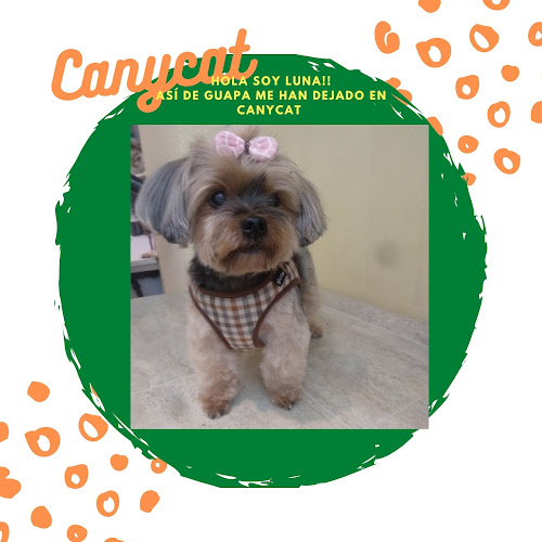 Canycat Peluquería Felina Y Canina