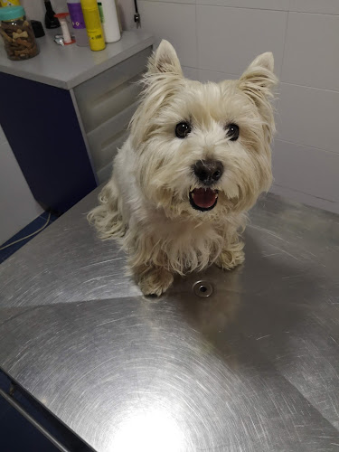 Negocio Centro Canino Badajoz