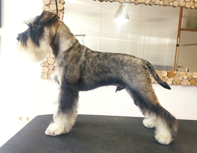 Negocio Centro De Estética, Peluquería Y Cuidado Canino Yohanna Mesa