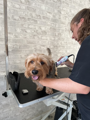 Chic Guagua Peluquería Canina