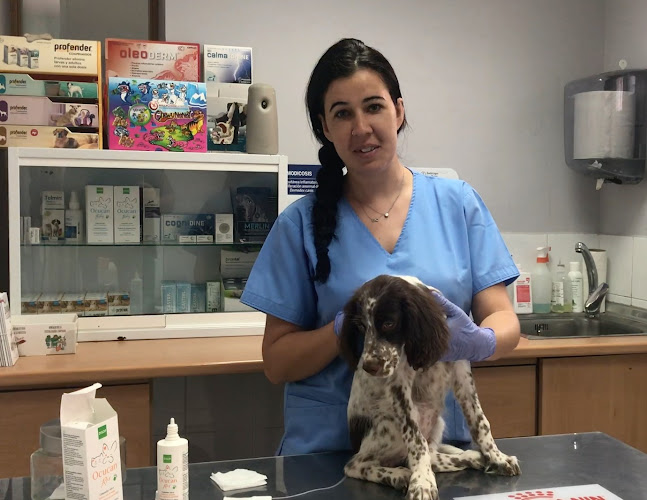 Clínica Veterinaria Amantea