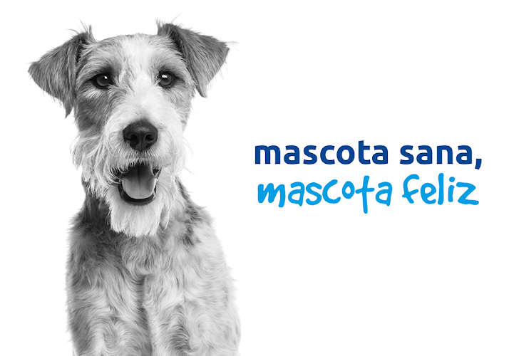 Negocio Clínica Veterinaria Ávila Cádiz