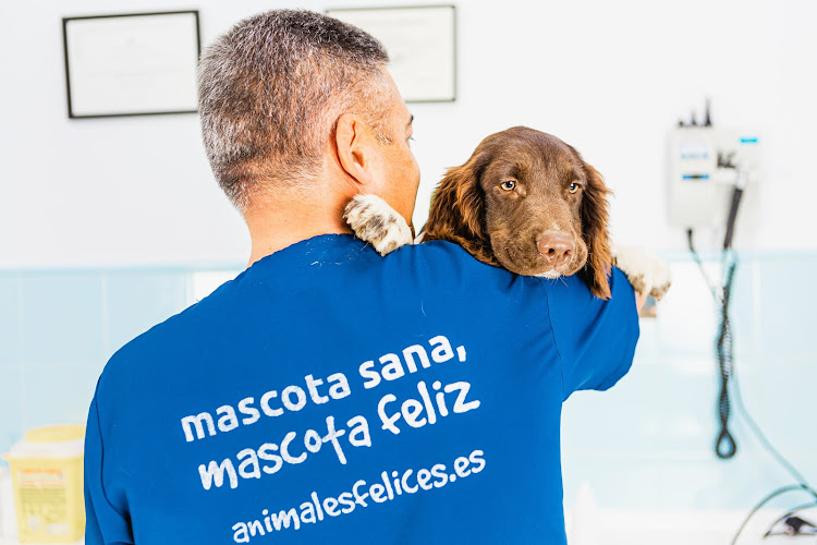 Negocio Clínica Veterinaria Ávila Chiclana
