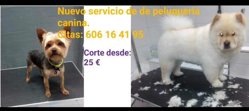 Clinica Veterinaria Orcasitas