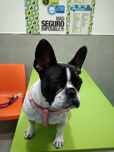 Negocio Clínica Veterinaria Sant Antoni