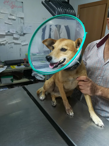 Negocio Clínica Veterinaria Santa Fe