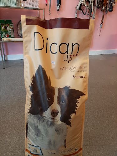 Negocio Club Peludos - Peluquería Canina Y Tienda De Mascotas