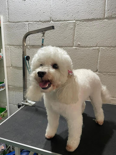 Negocio Cococan Peluquería Canina