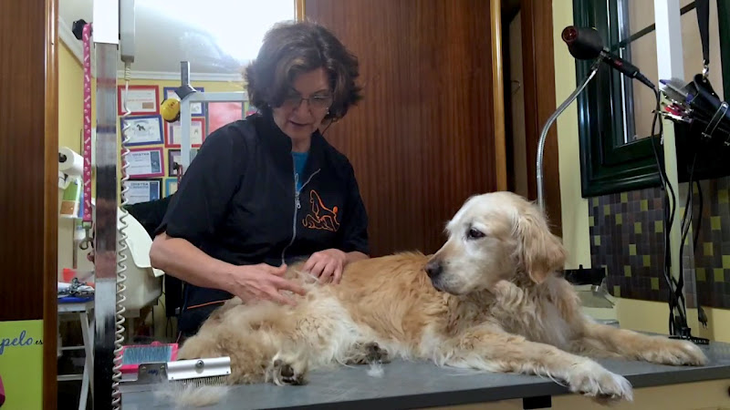 Negocio Cortateunpelo