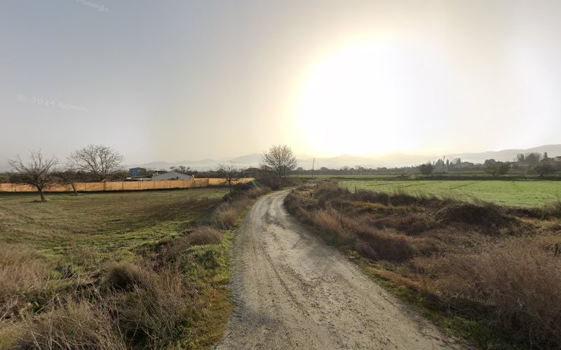 Negocio Cristina Navas-Parejo Peluquera Canina