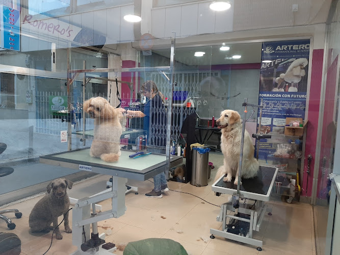 Negocio Cristina Romero’s Estilisme Cani