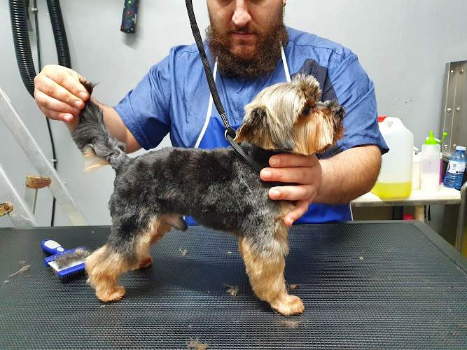 Negocio Cuatro Patitas Peluqueria De Mascotas