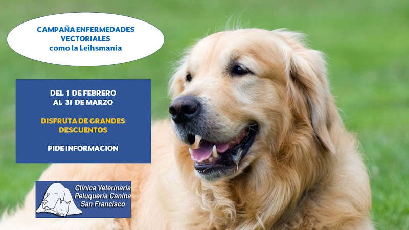 Negocio Cv San Francisco