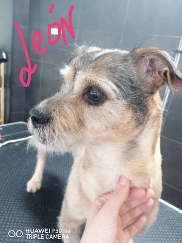 Negocio De Patitas En La Pelu