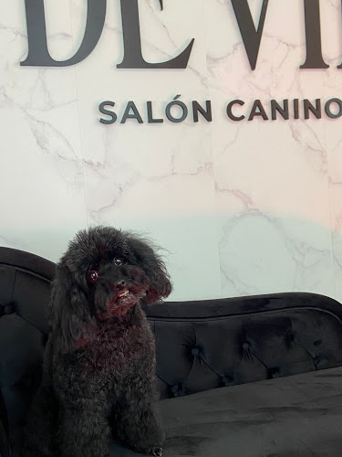 Negocio De Vil Salón Canino