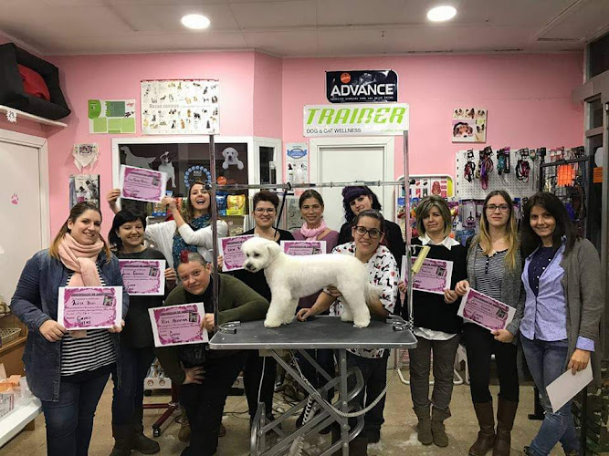 Negocio Decomascotas /M&B Peluqueros Caninos