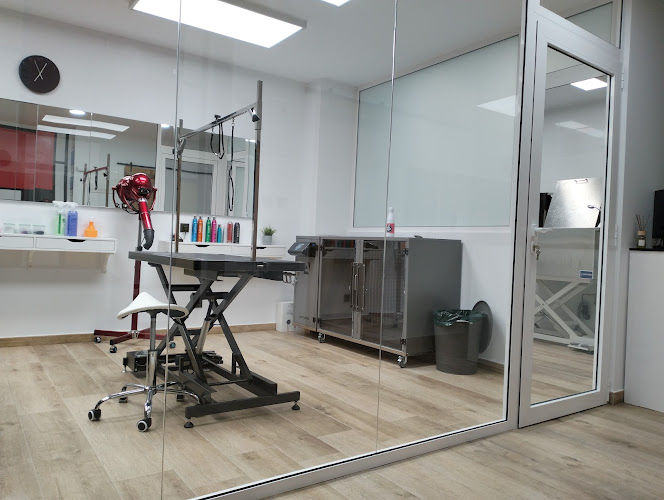 Negocio Dog&Roll Peluqueria Canina