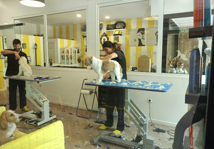 Negocio Dogger Dog Designers S.l