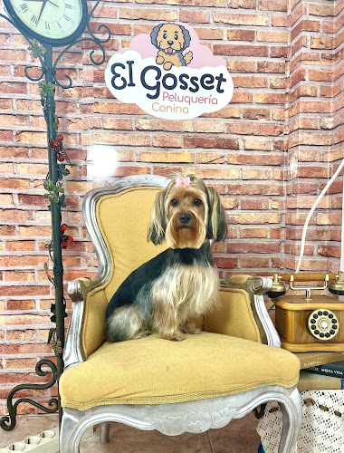 Negocio El Gosset