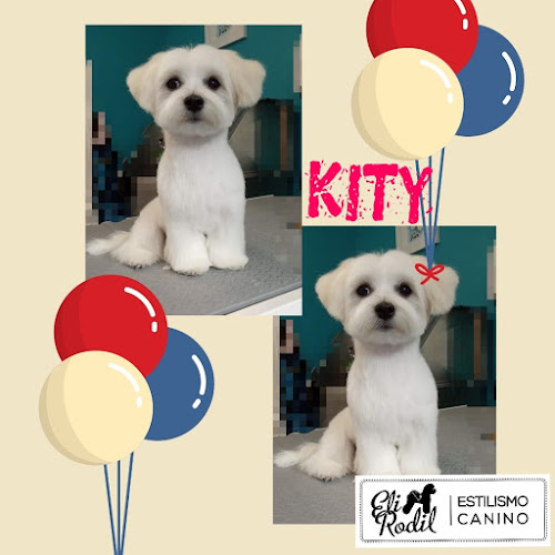 Negocio Eli Rodil Estilismo Canino