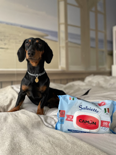 Negocio Elliot'sbark