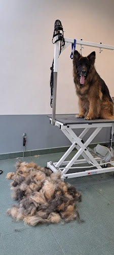 Negocio Eos Estilista Canina