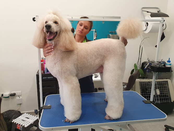 Negocio Estilismo Canino Kelly Goossens